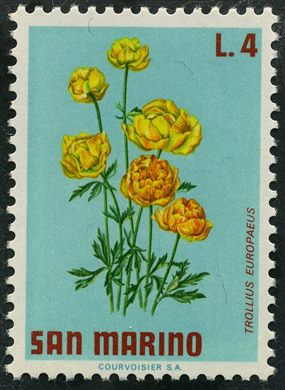 Sao Marino - 1971 - Flora Trollius europaeus - 4L