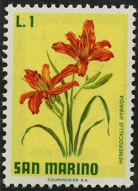 Sao Marino - 1971 - Flora Hemerocallis hybrida - 1L