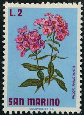 Sao Marino - 1971 - Flora Phlox paniculata - 2L