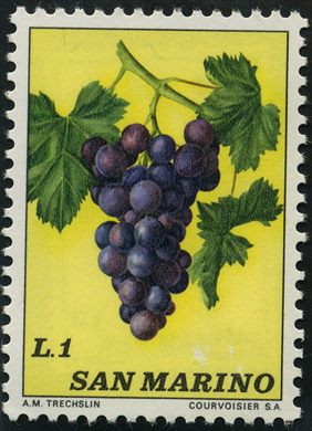 Sao Marino - 1973 - Frutos Uvas - 1L