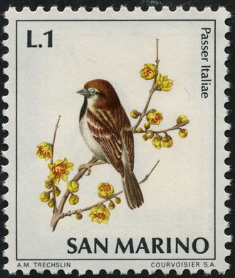 Sao Marino - Sem Data - Aves - 1L