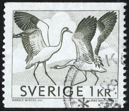 Suecia - 1968 - Fauna Grous - 1Kr