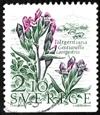 Suecia - 1985 - Flora Gentianella campestris - 2.10Kr