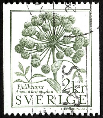Suecia - 1985 - Flora Angelica archangelica - 2Kr