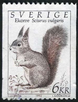Suecia - 1992 - Fauna Esquilo - 6Kr