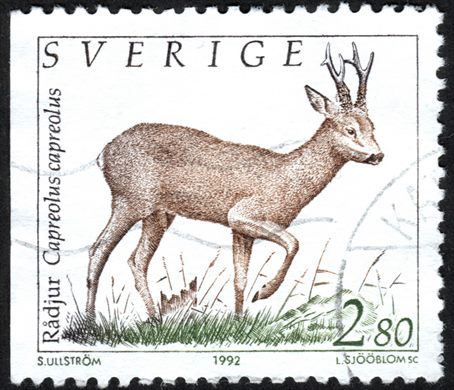 Suecia - 1992 - Fauna Capreolus capreolus - 2.80Kr