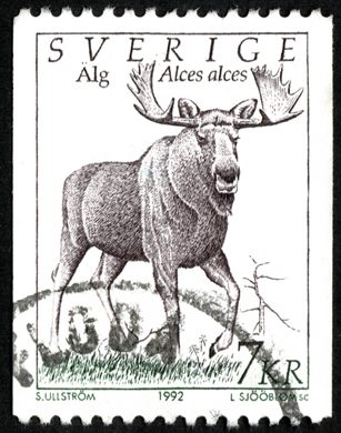 Suecia - 1992 - Fauna Alces alces - 7Kr