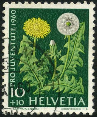 Suica - 1960 - Pro Juventute Flora Dente de Leao - 10C Plus 10C