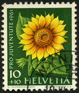 Suica - 1961 - Pro Juventute Flora Girassol - 10C Plus 10C