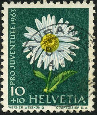 Suica - 1963 - Pro Juventute Flora Margarida dos Alpes - 10C Plus 10C
