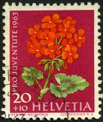 Suica - 1963 - Pro Juventute Flora Geranio - 20C Plus 10C