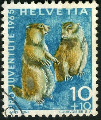 Suica - 1965 - Pro Juventute Fauna Marmota - 10C Plus 10C
