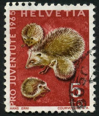Suica - 1965 - Pro Juventute Fauna Ourico - 5C Plus 5C