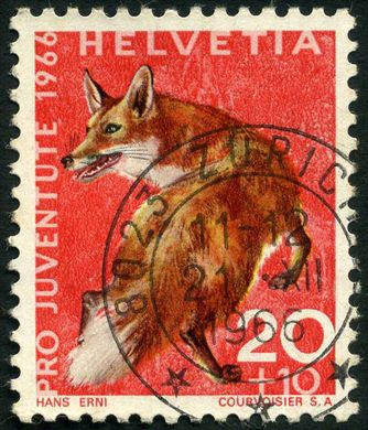 Suica - 1966 - Pro Juventute Fauna Raposa - 20C Plus 10C