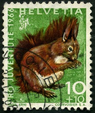 Suica - 1966 - Pro Juventute Fauna Esquilo - 10C Plus 10C