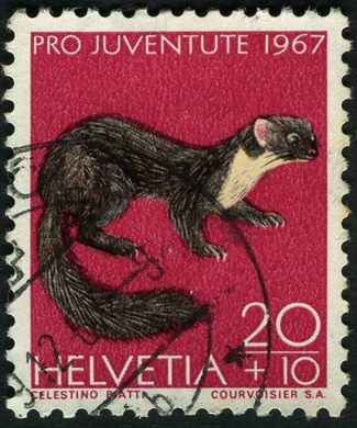 Suica - 1967 - Pro Juventute Fauna Marta - 20C Plus 10C