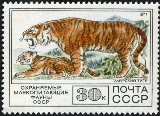 Uniao Sovietica - 1977 - Soyuz 24 Salyut 5 Gorbatko Glazkov - 10K