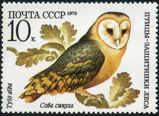 Uniao Sovietica - 1979 - Soyuz 32 Salyut 6 Soyuz 34 175 Dias Conjunto - 15K
