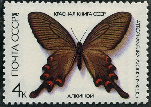 Uniao Sovietica - 1987 - Livro Vermelho URSS - Borboleta Alkinoi Atrophaneura alcinous - 4K