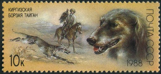 Uniao Sovietica - 1988 - Caes de Caca Taigan Quirguiz - 10K
