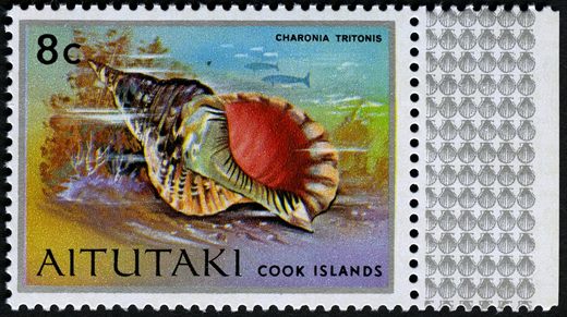 Aitutaki - 1974 - Conchas Marinhas - 8C