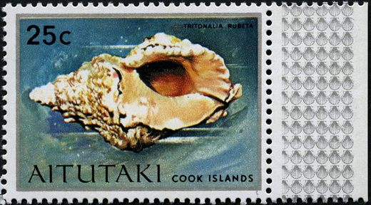 Aitutaki - 1974 - Conchas Marinhas - 25C