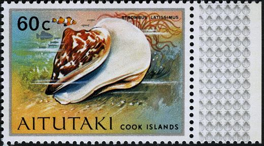 Aitutaki - 1974 - Conchas Marinhas - 60C
