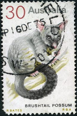 Australia - 1959 - Zoologicos - 6D
