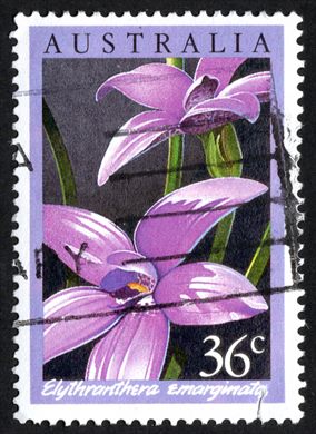 Australia - 1959 - Fauna e Flora - 2S3D