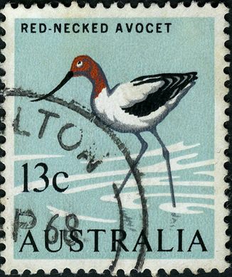 Australia - 1966 - Fauna e Flora - 13C
