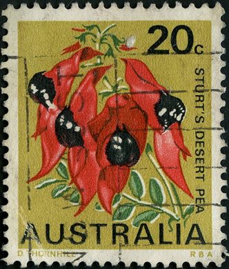 Australia - 1968 - Fauna e Flora - 20C