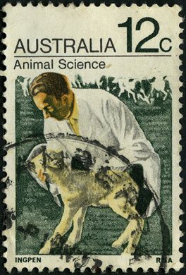 Australia - 1971 - Industrias Primarias - 12C