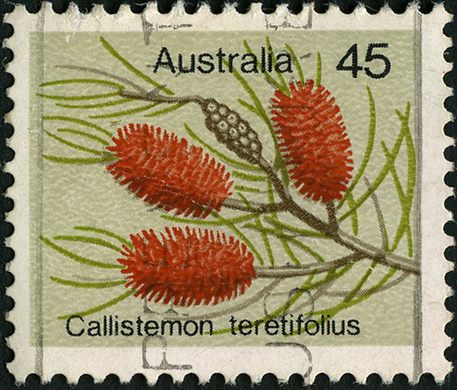 Australia - 1975 - Flora - 45C