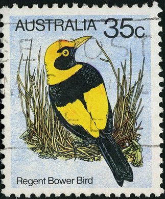 Australia - 1980 - Fauna - 35C