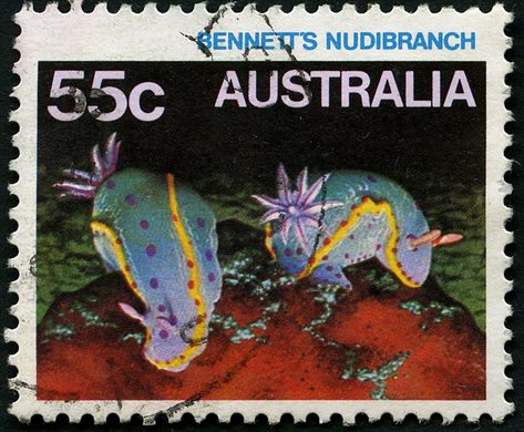 Australia - 1984 - Vida Marinha - 55C
