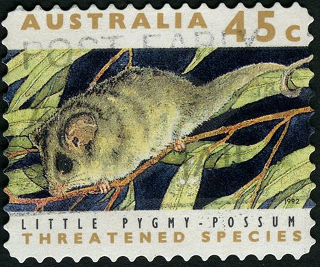 Australia - 1992 - Especies Ameacadas - 45C