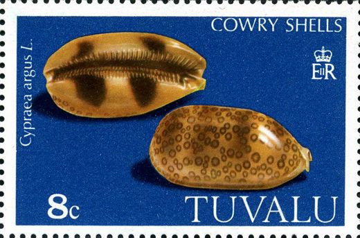 Tuvalu - 1980 - Conchas Cowry - 8C