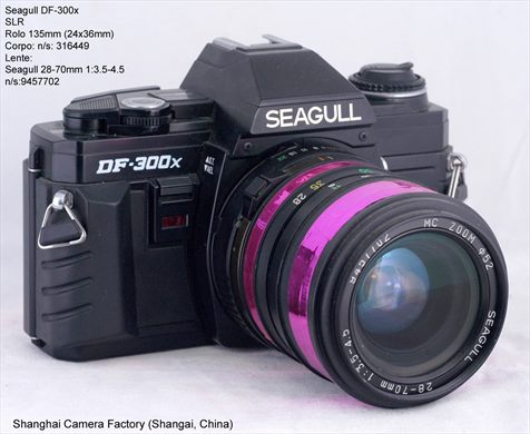 Seagull DF-300x