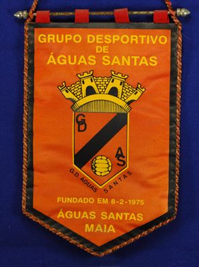 Grupo Desportivo Aguas Santas