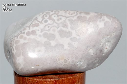 agata dendritica n0080
