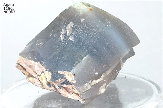 agata n0067