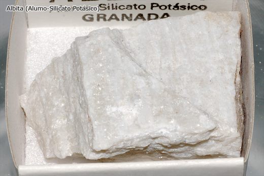 Albita