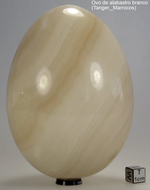Alabastro branco (Ovo) (Tanger Marrocos)
