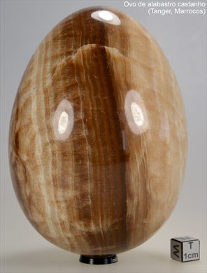 Alabastro castanho (Ovo) (Tanger Marrocos)