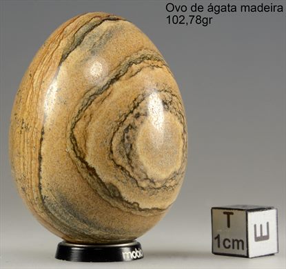 Agata madeira (Ovo) 102,78gr