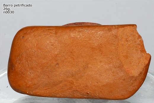 Barro petrificado n0030