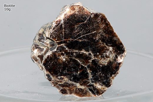 Biotite