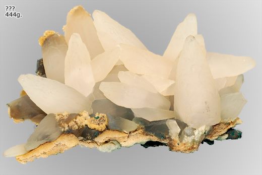 Calcite dente-de-cao