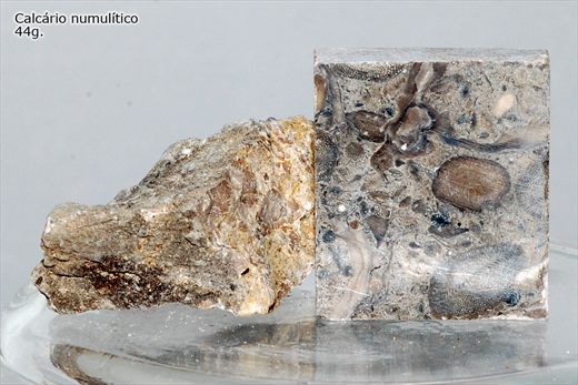 Calcario numolitico