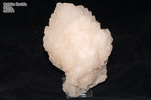 Calcite florida